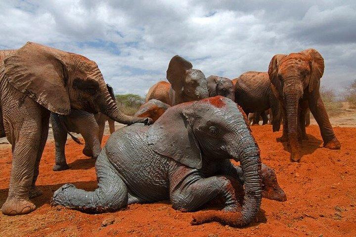 3 days Man Eaters Camp Madaraka Express Package