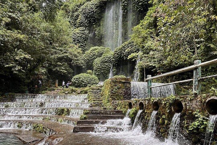 Tetebatu Private Trek Rice Fields Waterfall and Monkey Forest
