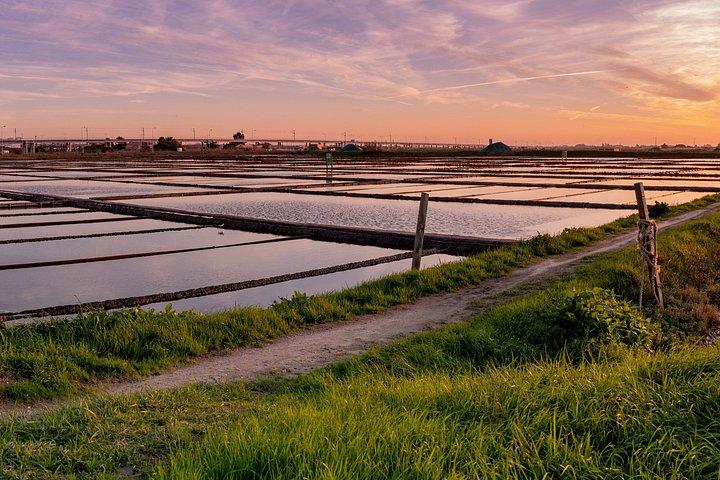 Aveiro, Costa Nova & Atlantic Coast: Full Day & Small Group Tour