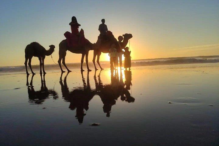 Camel Ride - Tangier & Asilah