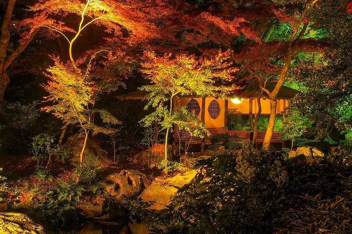 Tokyo Nights 浅草・上野探検 ENG or ESP