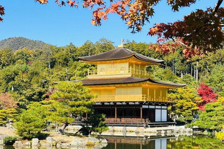 英語運転手付き京都プライベートカスタマイズ可能な日帰り旅行
