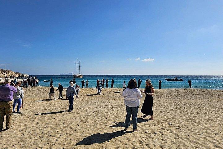 ミコノス島のベスト・オブ・ミコノス：現地専門家によるプライベートツアー