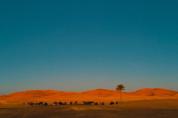 Avventura nel deserto di 3 giorni da Marrakech a Merzouga