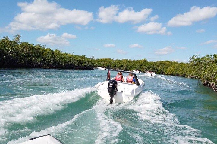 Cancun speedbåd og snorkel tur: delt speedbåd