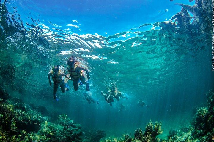 Cancun speedbåd og snorkel tur: delt speedbåd