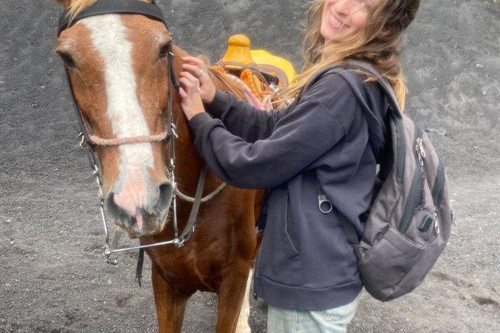 Erleben Sie Pacaya Volcano Trek zu Pferd