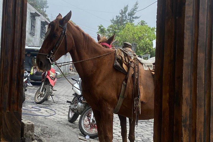Erleben Sie Pacaya Volcano Trek zu Pferd