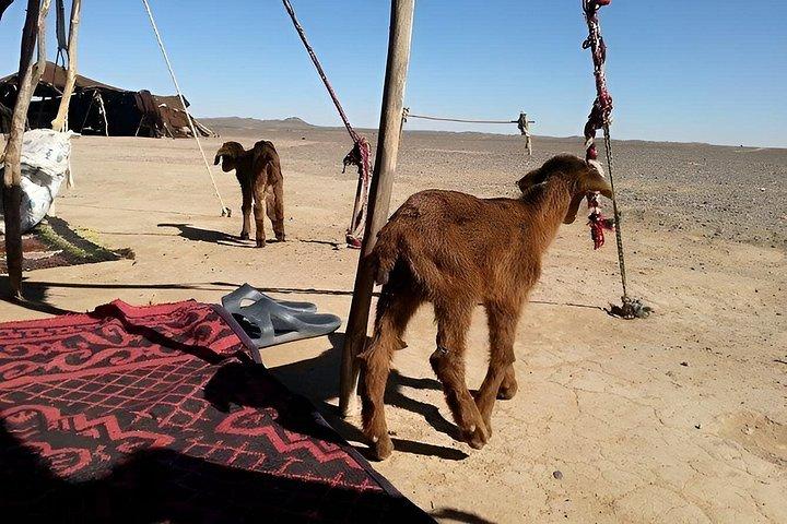4×4 Jeep Tour in Merzouga