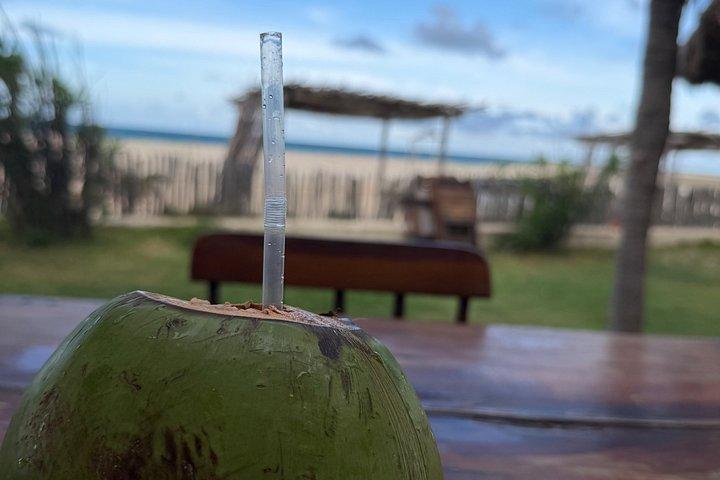 Private 4x4 Dune & Beach Adventure from Fortaleza
