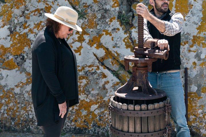 Naxos Wine Tasting & Artisan Cheese Experience - Small Group