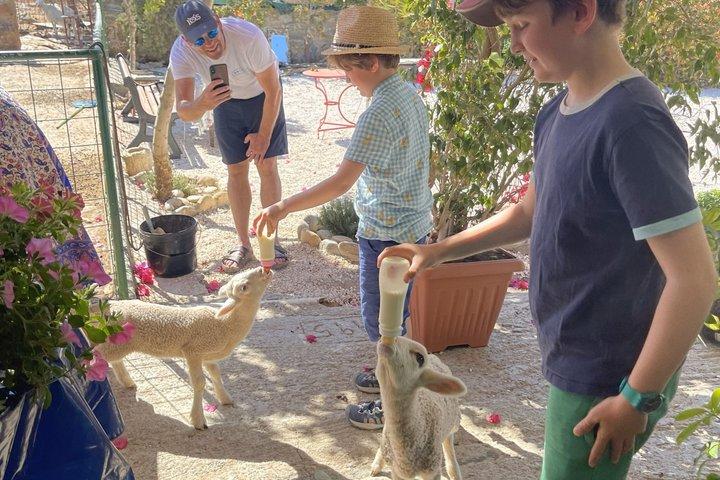 Familienerlebnis mit Käserei, Töpferei, Imker - Naxos