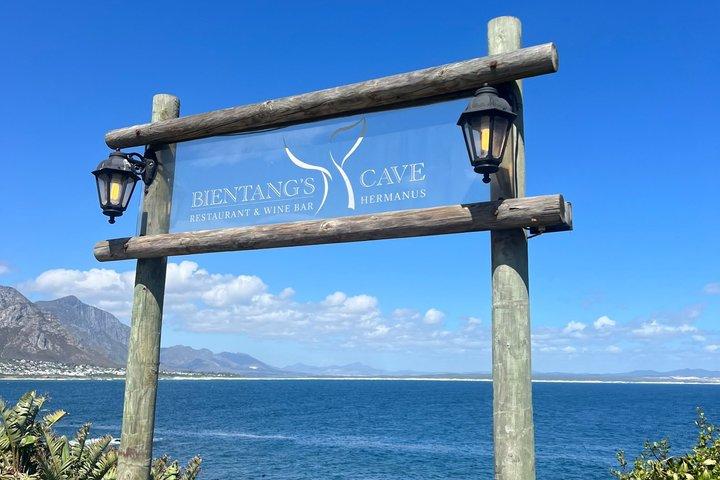 Cape Agulhas : Where Indian Meets Atlantic — Excursion privée d'une journée
