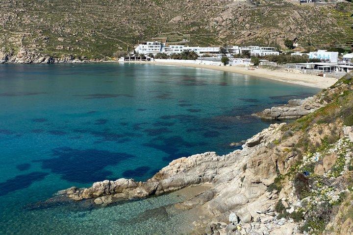 Mykonos södra stränder privat rundtur
