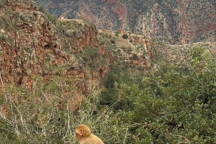 ウザウド滝への日帰り旅行