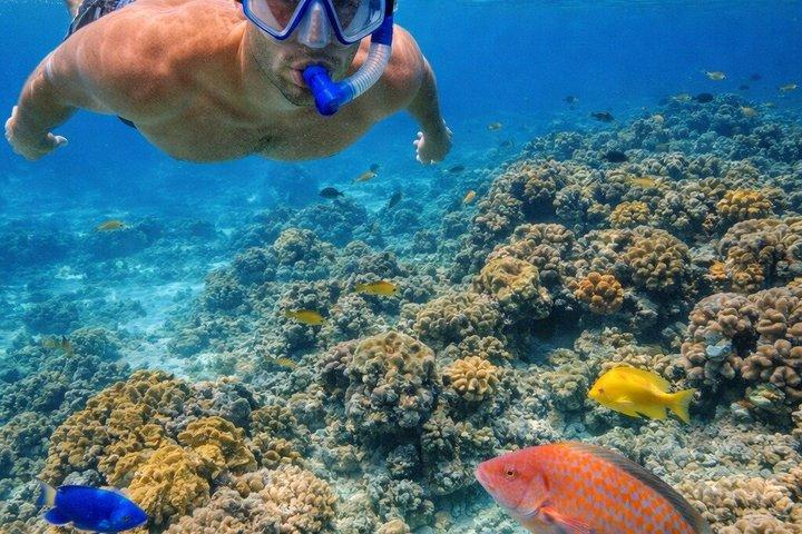 Pesca privata sulla barriera corallina e avventura di snorkeling