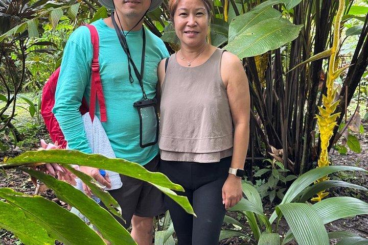 Bijagua Rain Forest Sloth Observation and Coffee Tour