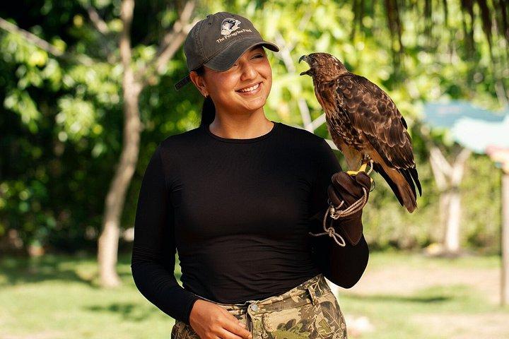 Punta Cana: Hidden Cenotes & Underground River Adventure