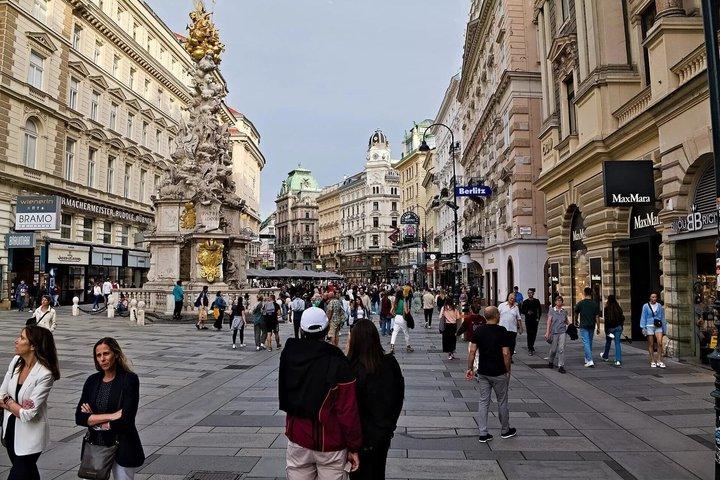 Visita guiada a pie por el centro de Viena