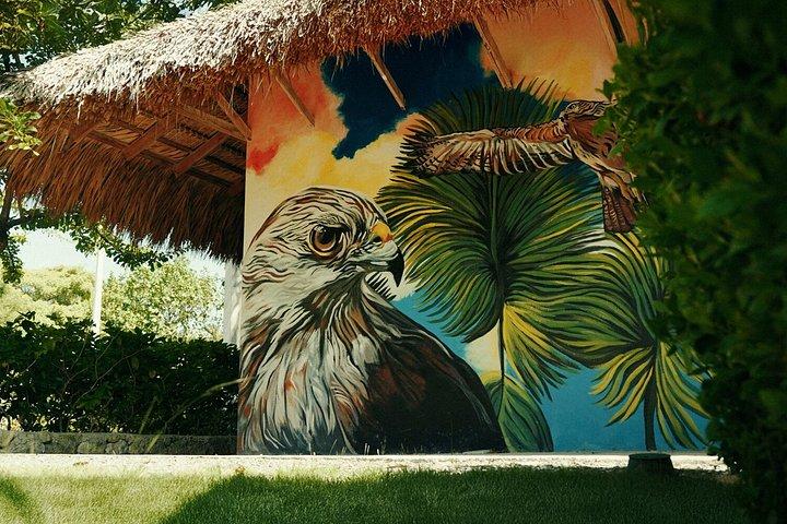 Punta Cana: Hidden Cenotes & Underground River Adventure