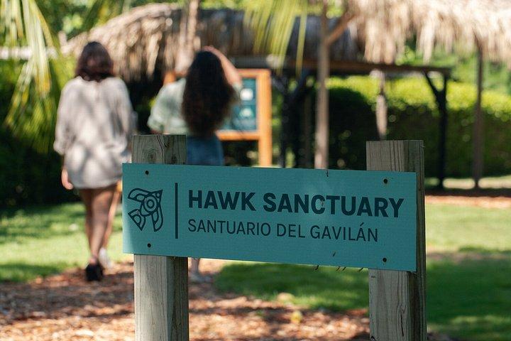 Punta Cana: Hidden Cenotes & Underground River Adventure