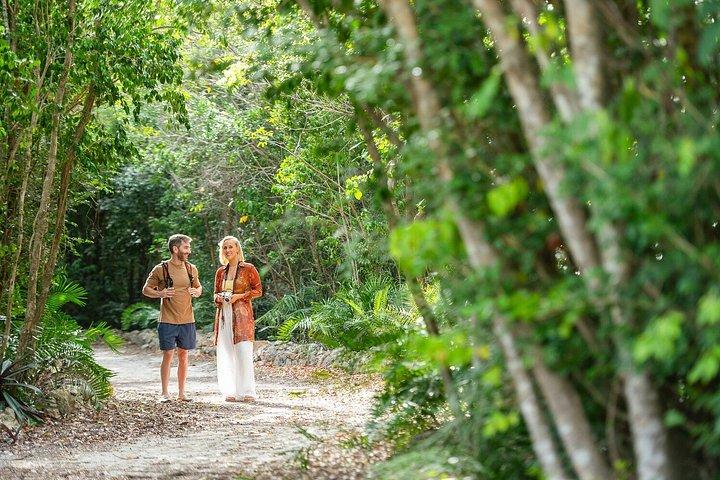 Punta Cana: Hidden Cenotes & Underground River Adventure