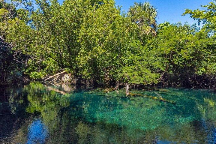 Punta Cana: Hidden Cenotes & Underground River Adventure