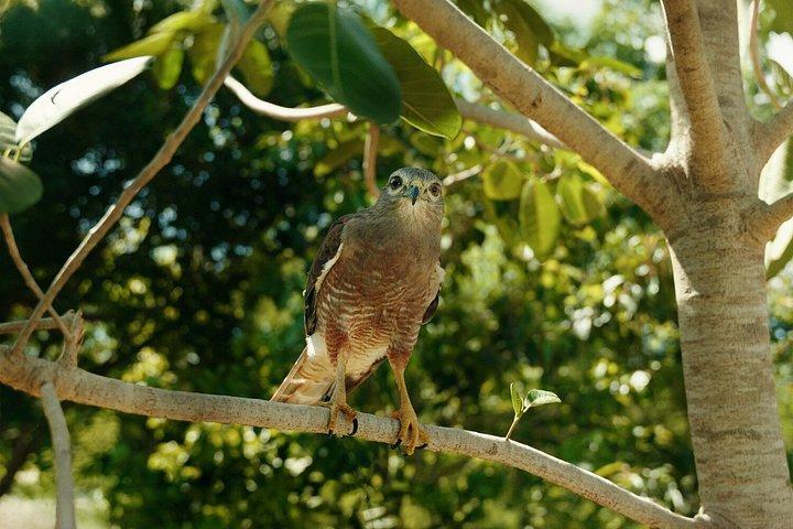 Punta Cana: Hidden Cenotes & Underground River Adventure