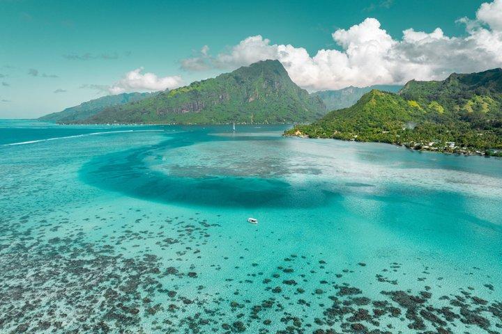 Moorea Lagoon Tour Snorkeling con squali e razze