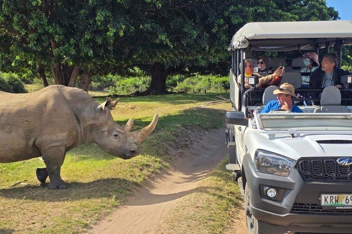 Schotia Tooth & Claw Safari (veicolo Safari aperto 4x4)