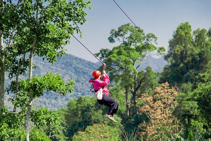 Sky Hawk Zipline Experience in Chiang Mai