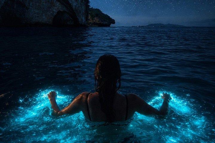 Tour in barca locale con bioluminescenza e tramonto al Santuario di Los Arcos