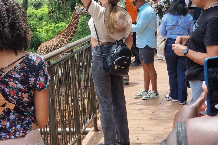 ナイロビ市内観光とキリンセンターツアー