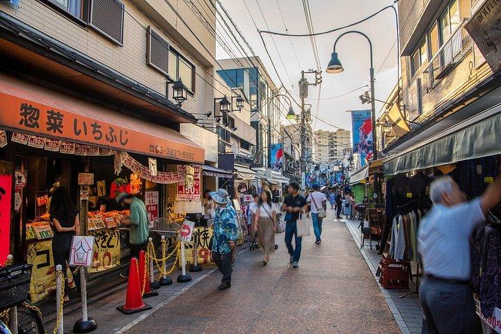 Hidden Yanaka & Nezu : Authentic Old Tokyo Escape – ウォーキングツアー