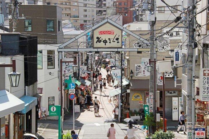 Hidden Yanaka & Nezu : Authentic Old Tokyo Escape – ウォーキングツアー