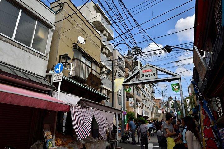 Hidden Yanaka & Nezu : Authentic Old Tokyo Escape – ウォーキングツアー