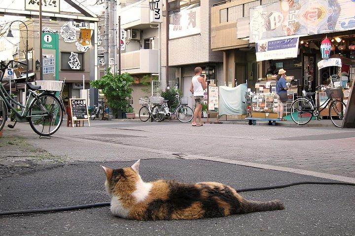 Hidden Yanaka & Nezu : Authentic Old Tokyo Escape – ウォーキングツアー