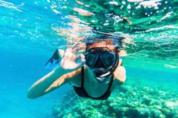 Mallorca: Quad tour in Magaluf through coves, viewpoints, and cliffs