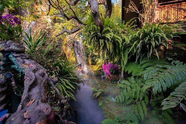 チェンマイ：チェンライ寺院ツアー（ランチ付き）とラリッタカフェ