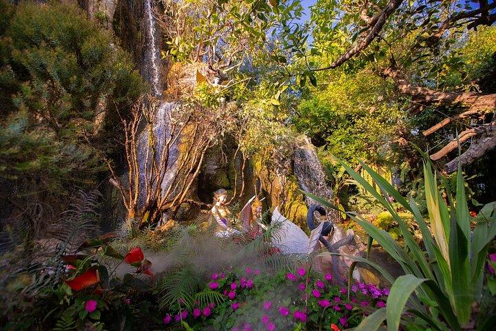 チェンマイ：チェンライ寺院ツアー（ランチ付き）とラリッタカフェ