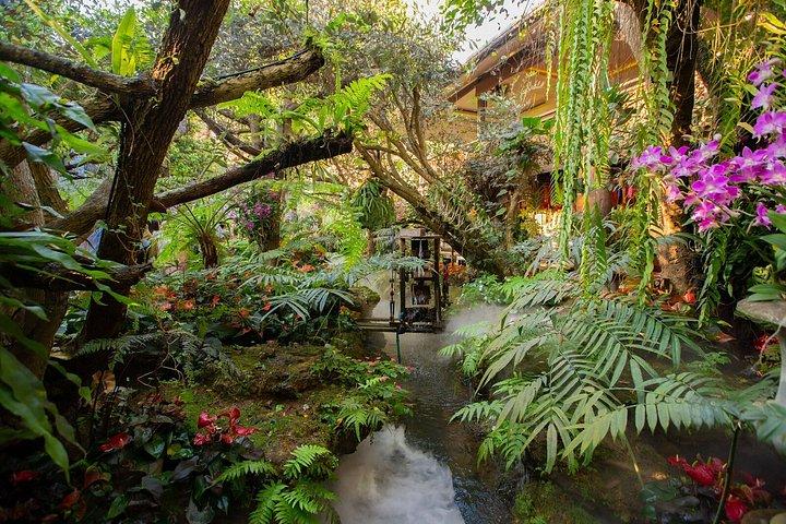 チェンマイ：チェンライ寺院ツアー（ランチ付き）とラリッタカフェ
