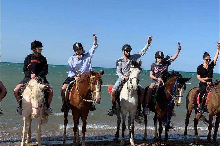 2 timers ridning eventyr i Hurghada