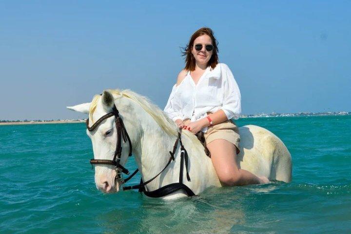 Hestevogn eventyr ørken og hav strand ride i Hurghada