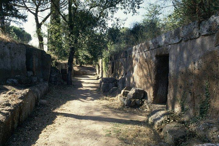 ローマから:エトルリア遺跡へのプライベート日帰り旅行タルクィニア&セルヴェーテ