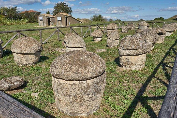 ローマから：エトルリア遺跡へのプライベート日帰り旅行タルクィニア＆セルヴェーテ