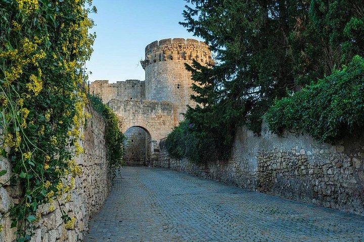 ローマから：エトルリア遺跡へのプライベート日帰り旅行タルクィニア＆セルヴェーテ