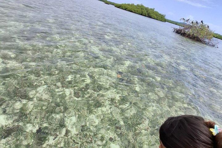 Bocas del Toro Boat Tour Zapatilla Snorkeling e Island Hopping
