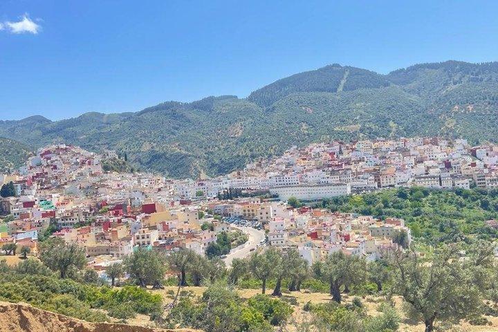 フェズ発ヴォルビリス、ムーレイ・イドリス、メクネスへの日帰り旅行