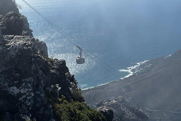 Table Mountain Cape Point Penguin Groot Constantia Private Tour