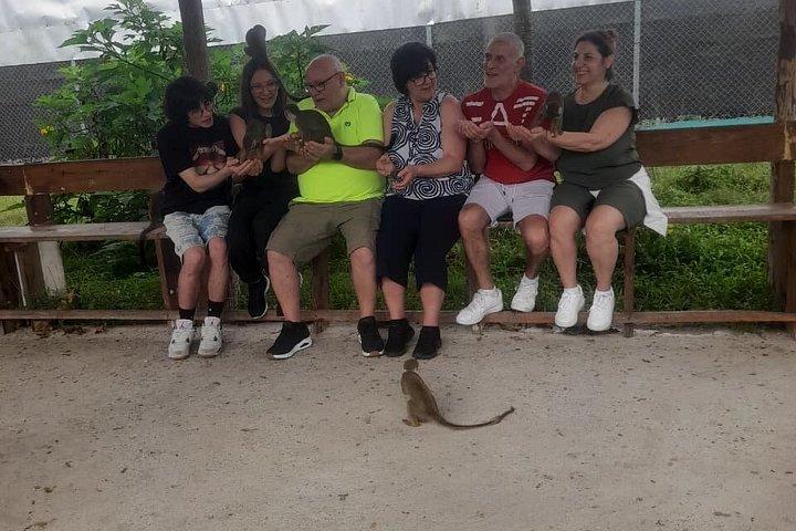 monkey paradise experience & 7 waterfalls damajagua